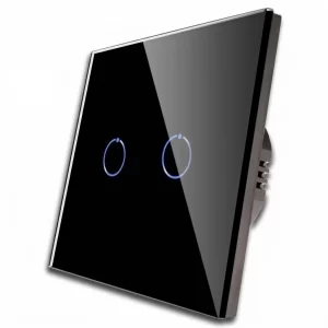 Smart switch two gang
